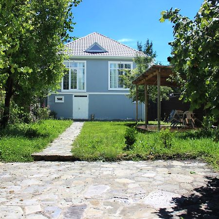 Soft Villa Gabala Εξωτερικό φωτογραφία